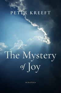 Cover of The Mystery of Joy