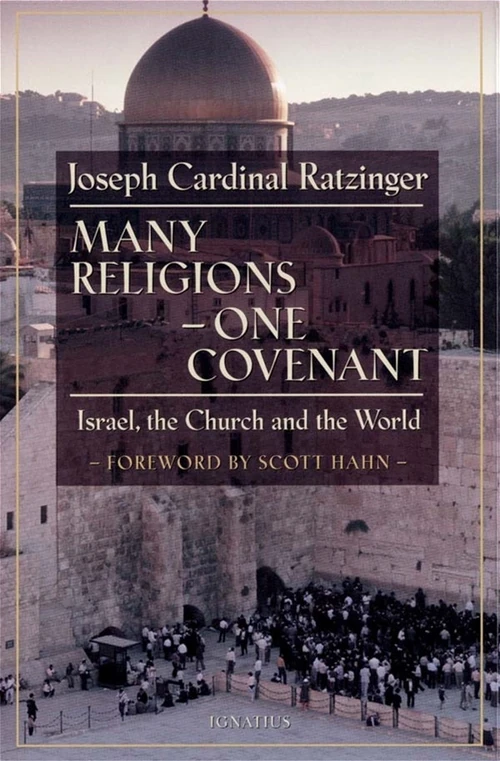 Cover of Many Religions, One Covenant