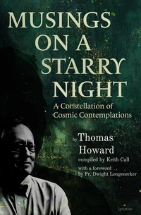 Cover of Musings on a Starry Night