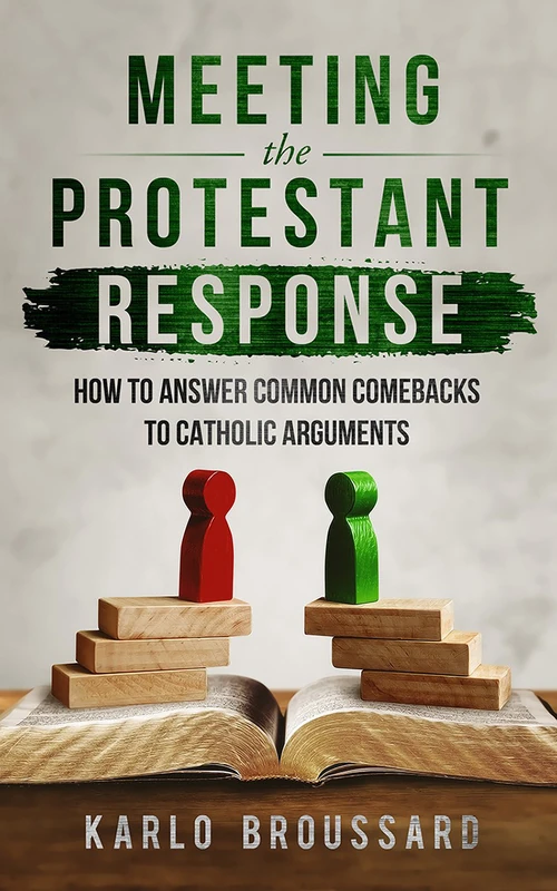 Cover of Meeting the Protestant Response