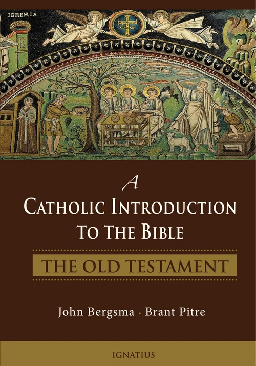 Cover of A Catholic Introduction to the Bible