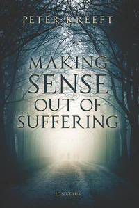 Cover of Making Sense out of Suffering