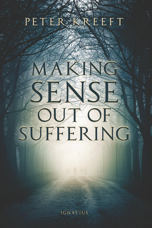 Cover of Making Sense out of Suffering