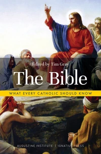 Cover of The Bible