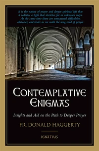 Cover of Contemplative Enigmas