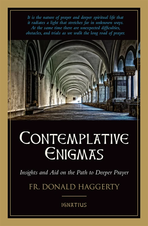Cover of Contemplative Enigmas