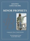 Cover of The Minor Prophets