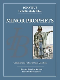 Cover of The Minor Prophets