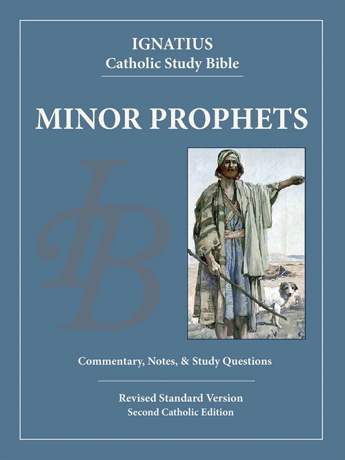 Cover of The Minor Prophets