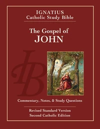 Cover of The Gospel of John (2nd Ed.)