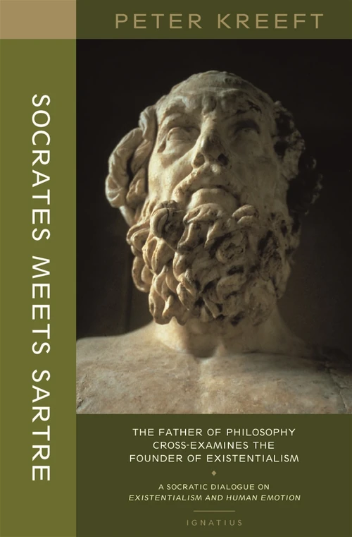 Cover of Socrates Meets Sartre
