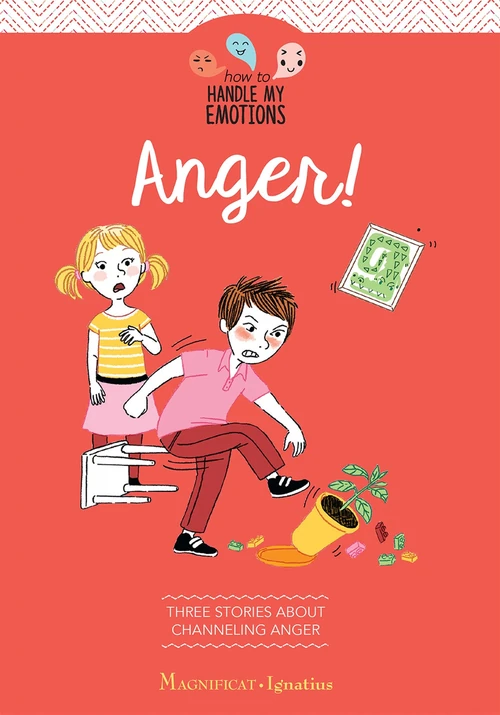 Cover of Anger!