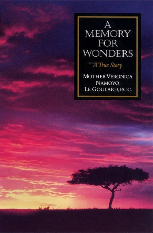 Cover of A Memory for Wonders
