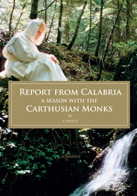 Cover of Report from Calabria