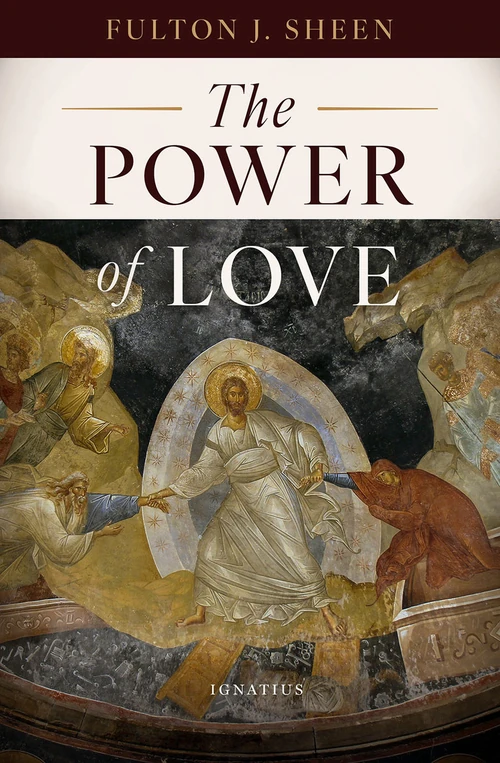 Cover of The Power of Love
