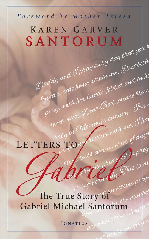 Cover of Letters to Gabriel