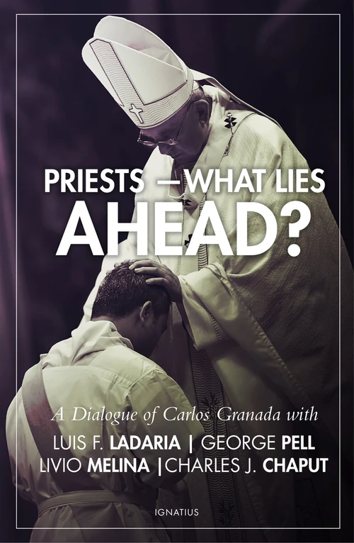 Cover of Priests - What Lies Ahead?