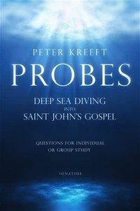Cover of Probes