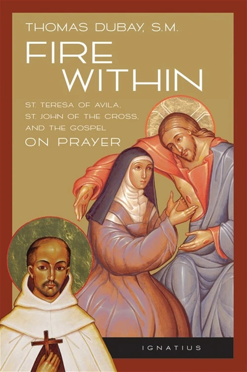 Cover of Fire Within