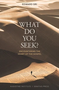 Cover of What Do You Seek?
