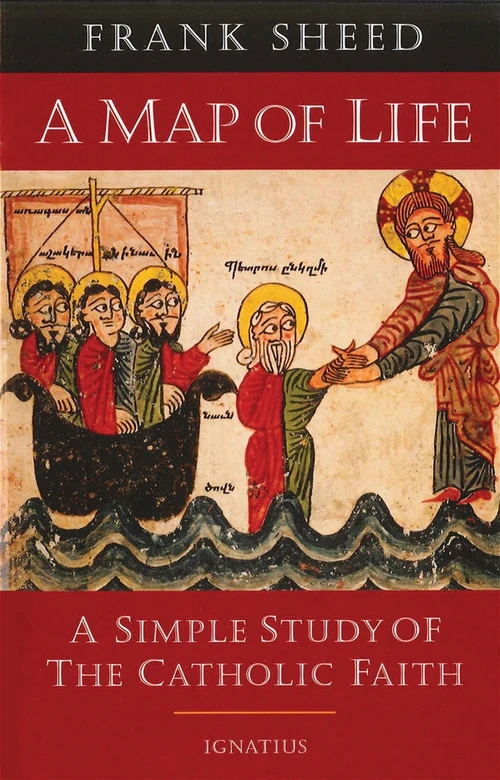 Cover of A Map of Life