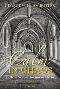 Cover of Calm in Chaos