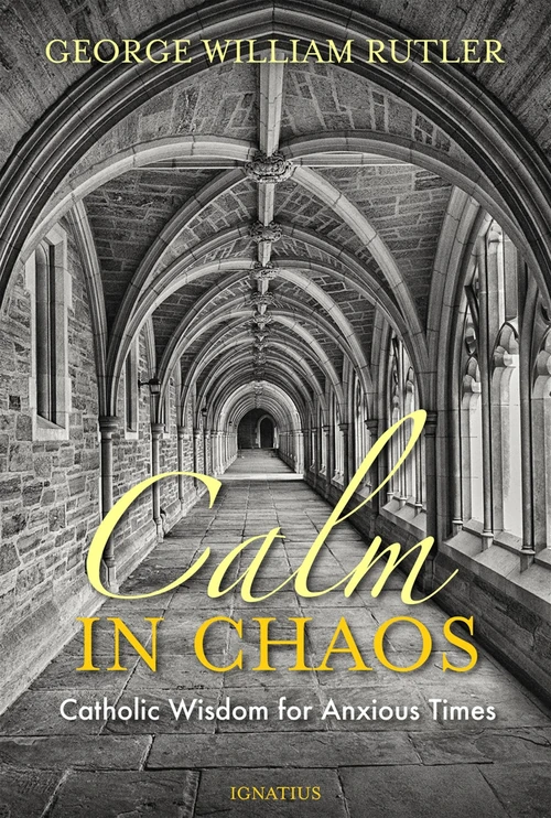 Cover of Calm in Chaos