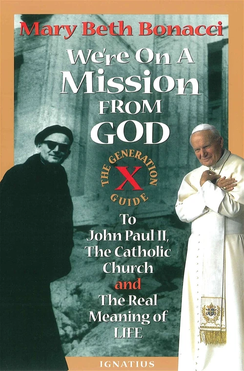 Cover of We're on a Mission from God