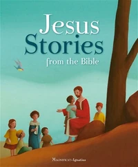Cover of Jesus Stories from the Bible