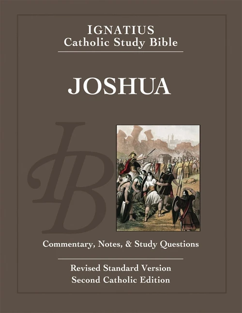 Cover of Joshua