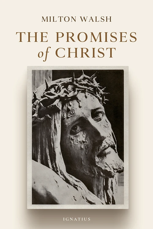 Cover of The Promises of Christ