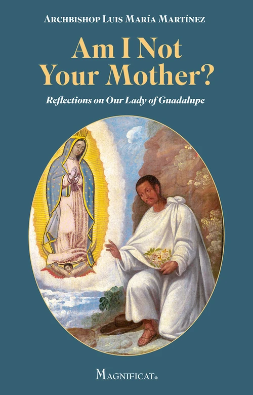 Cover of Am I Not Your Mother?
