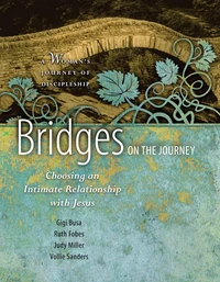 Cover of Bridges on the Journey